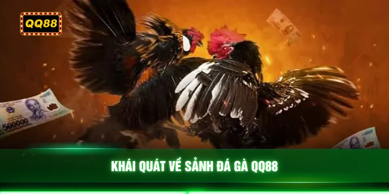 Khái quát về sảnh đá gà QQ88